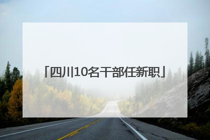 四川10名干部任新职