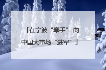 在宁波“牵手” 向中国大市场“进军”