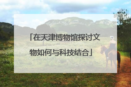 在天津博物馆探讨文物如何与科技结合