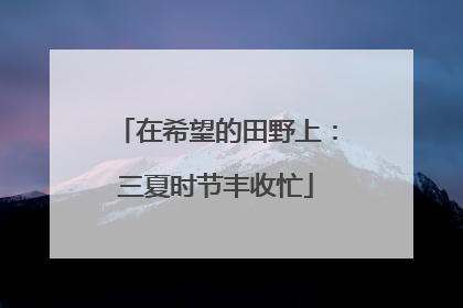 在希望的田野上：三夏时节丰收忙