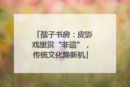 孺子书房：皮影戏里赏“非遗”，传统文化焕新机