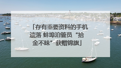 存有重要资料的手机遗落 蚌埠泊管员“拾金不昧”获赠锦旗