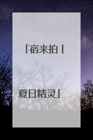 宿来拍丨夏日精灵