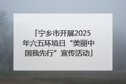 宁乡市开展2025年六五环境日“美丽中国我先行”宣传活动