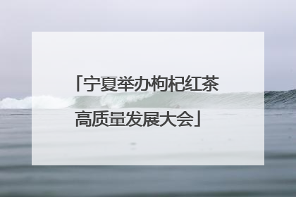 宁夏举办枸杞红茶高质量发展大会