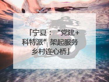 宁夏：“党建+科特派”架起服务乡村连心桥