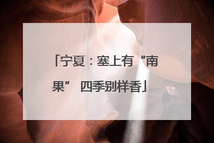 宁夏：塞上有“南果” 四季别样香