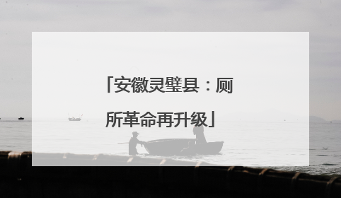 安徽灵璧县：厕所革命再升级