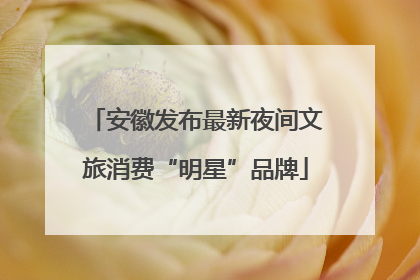 安徽发布最新夜间文旅消费“明星”品牌