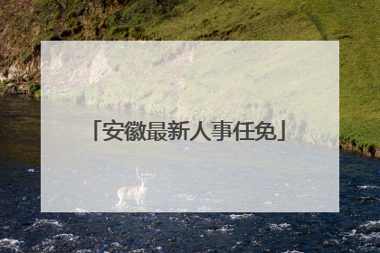 安徽最新人事任免