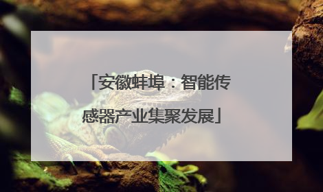 安徽蚌埠：智能传感器产业集聚发展