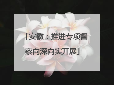 安徽：推进专项督察向深向实开展