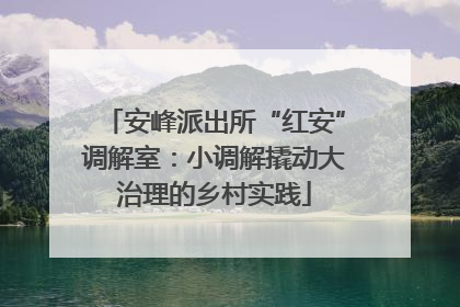 安峰派出所“红安”调解室：小调解撬动大治理的乡村实践