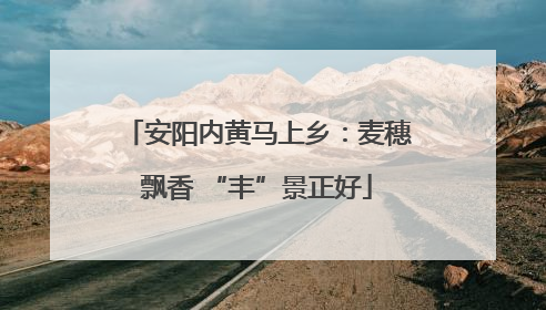 安阳内黄马上乡：麦穗飘香 “丰”景正好