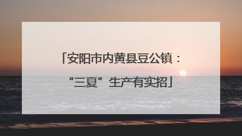 安阳市内黄县豆公镇：“三夏”生产有实招