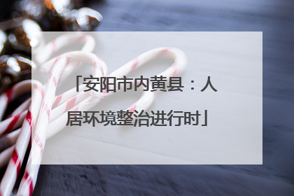 安阳市内黄县：人居环境整治进行时