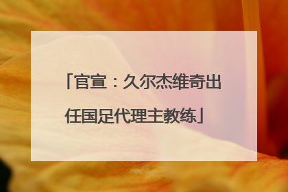 官宣：久尔杰维奇出任国足代理主教练