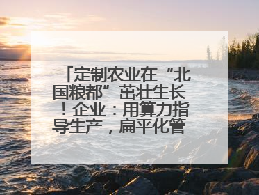 定制农业在“北国粮都”茁壮生长！企业：用算力指导生产，扁平化管理种地