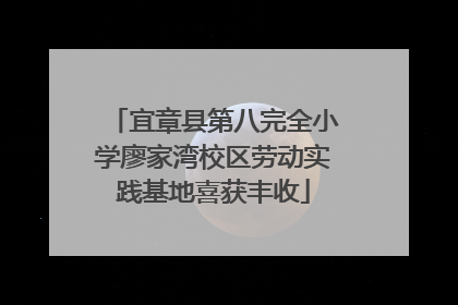 宜章县第八完全小学廖家湾校区劳动实践基地喜获丰收