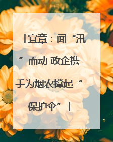 宜章：闻“汛”而动 政企携手为烟农撑起“保护伞”