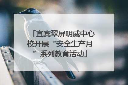 宜宾翠屏明威中心校开展“安全生产月”系列教育活动