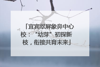 宜宾翠屏象鼻中心校：“幼芽”初探新枝，衔接共育未来