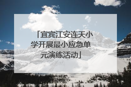 宜宾江安连天小学开展最小应急单元演练活动