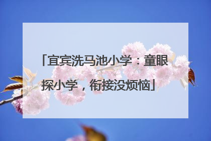 宜宾洗马池小学：童眼探小学，衔接没烦恼