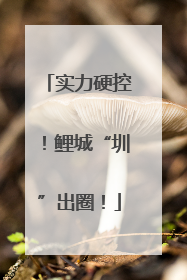 实力硬控！鲤城“圳”出圈！