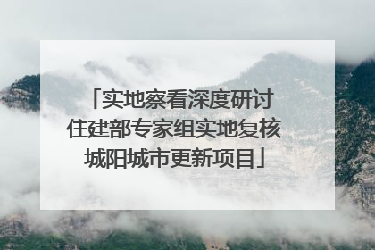 实地察看深度研讨 住建部专家组实地复核城阳城市更新项目