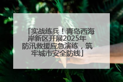 实战练兵！青岛西海岸新区开展2025年防汛救援应急演练，筑牢城市安全防线