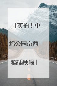 实拍！中坞公园京西稻插秧啦