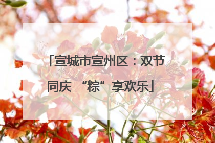 宣城市宣州区：双节同庆 “粽”享欢乐