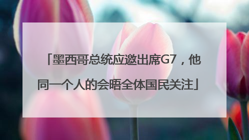 墨西哥总统应邀出席G7，他同一个人的会晤全体国民关注