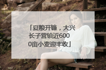 夏粮开镰，大兴长子营镇近6000亩小麦迎丰收