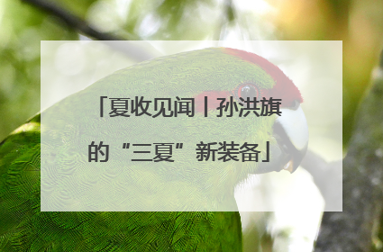 夏收见闻丨孙洪旗的“三夏”新装备