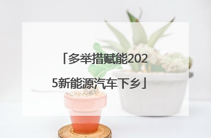 多举措赋能2025新能源汽车下乡