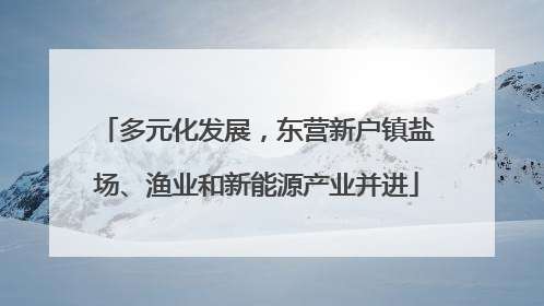 多元化发展，东营新户镇盐场、渔业和新能源产业并进