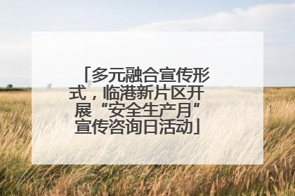 多元融合宣传形式，临港新片区开展“安全生产月”宣传咨询日活动