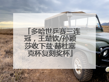 多哈世乒赛三连冠，王楚钦/孙颖莎收下兹·赫杜塞克杯复刻奖杯