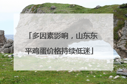 多因素影响，山东东平鸡蛋价格持续低迷