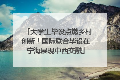 大学生毕设点燃乡村创新！国际联合毕设在宁海展现中西交融