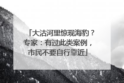 大沽河里惊现海豹？专家：有过此类案例，市民不要自行靠近