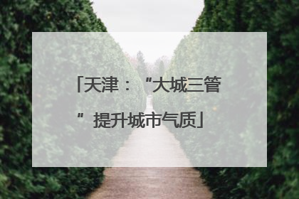 天津：“大城三管”提升城市气质