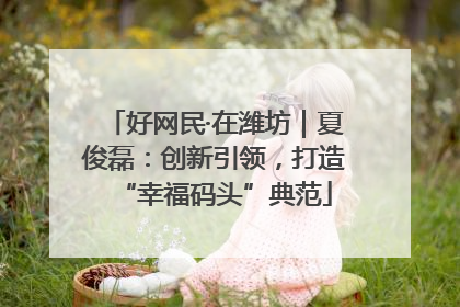 好网民·在潍坊｜夏俊磊：创新引领，打造“幸福码头”典范