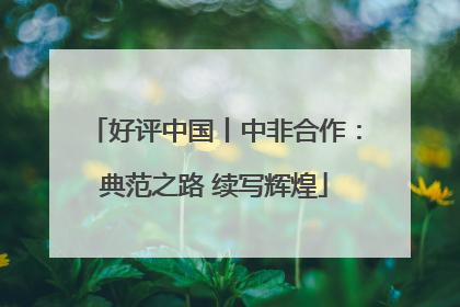 好评中国丨中非合作：典范之路 续写辉煌