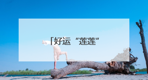 好运“莲莲”！洪湖公园并蒂莲迎风绽放