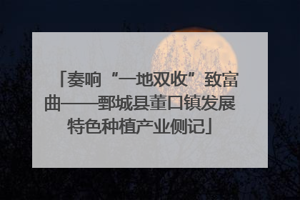 奏响“一地双收”致富曲——鄄城县董口镇发展特色种植产业侧记