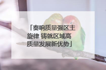 奏响质量强区主旋律 铸就区域高质量发展新优势
