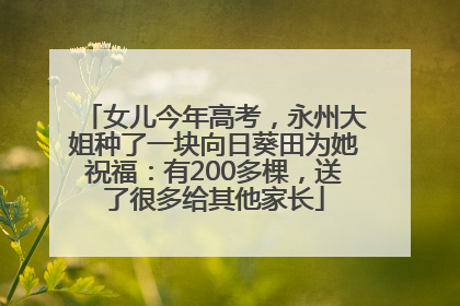 女儿今年高考，永州大姐种了一块向日葵田为她祝福：有200多棵，送了很多给其他家长